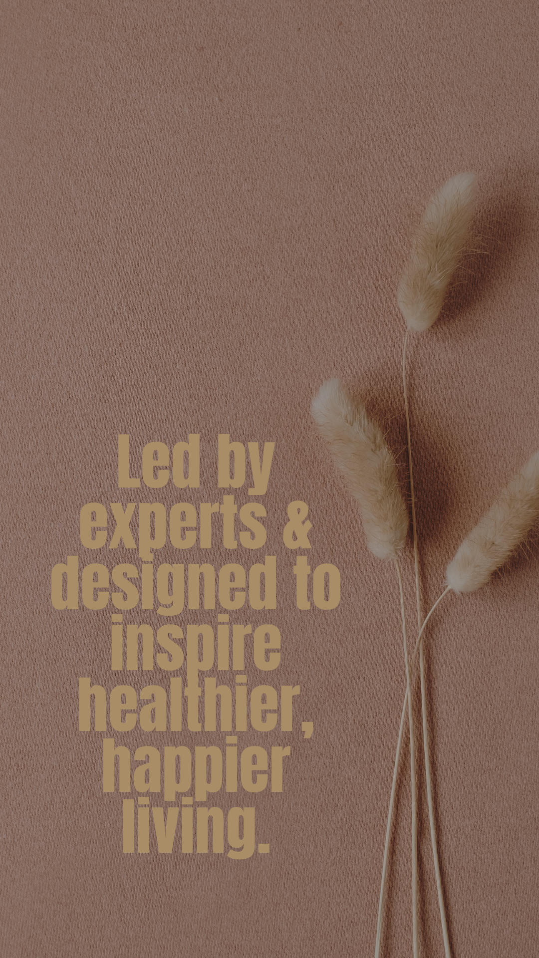 Understanding Menopause, Midlife and Me